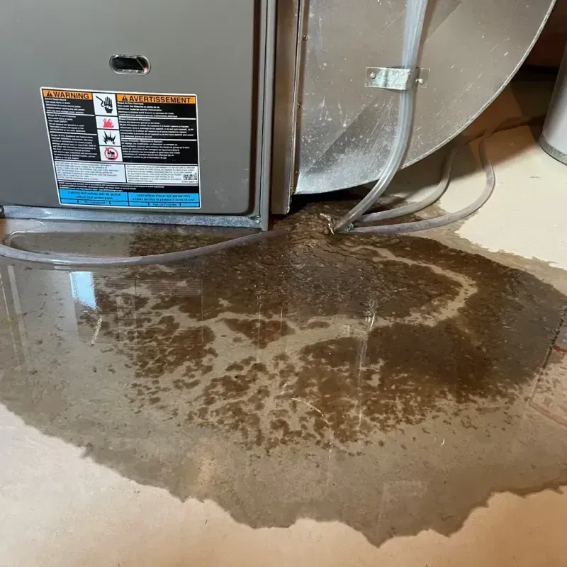 Appliance Leak Cleanup in Polk County, TX